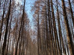 -云龙湖旅游景区
