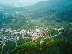 -龙坞茶村
