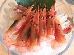 甜虾刺身-极尚大喜屋日本料理(铜锣湾店)