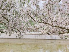 -海棠花溪(元大都城垣遗址公园)
