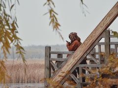 -野鸭湖国家湿地公园