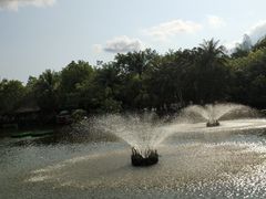 -呀诺达热带雨林