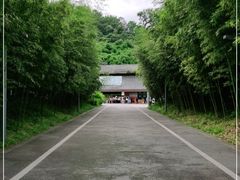 -都江堰中华大熊猫苑