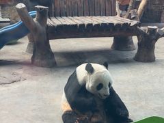 -石家庄市动物园