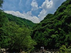 -少华山国家森林公园