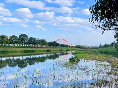 -那考河湿地公园