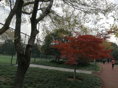 -杭州城北体育公园