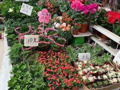 -秦美花卉(天朗·莱茵小城2期店)