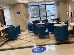 -碧莲盛·不剃发植发