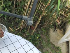 -海边的猫和咖啡馆