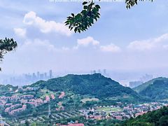 -南山植物园