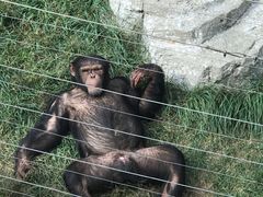 -大连森林动物园