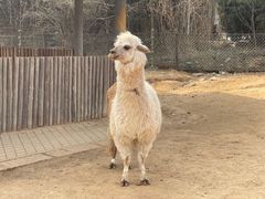 -济南野生动物世界