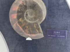 -国家自然博物馆