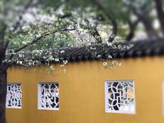 -北寺塔