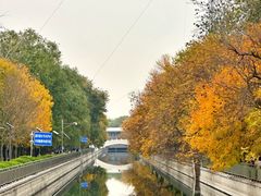 -元大都城垣遗址公园