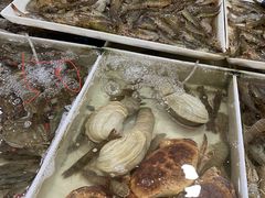 -毕家疃综合市场