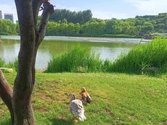 -河北省园博园