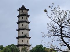-江心屿景区