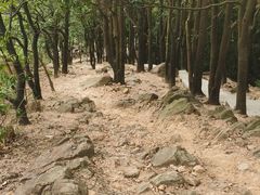 -火炉山森林公园