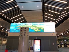 -西沃古尔·拉姆古兰爵士国际机场