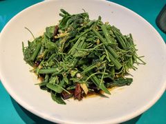 木姜子油丝瓜尖-川正旺江湖菜(三元桥店)