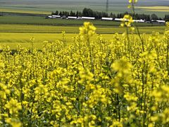 -扁都口生态休闲旅游区