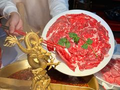 -小龙翻大江文化火锅(宽窄店)