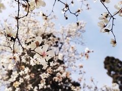 -径山寺