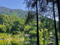 -深圳仙湖植物园