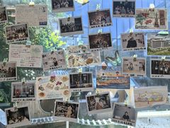 -猫的天空之城概念书店(北戴河蔚蓝海岸店)