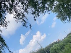 -马家湾湿地公园