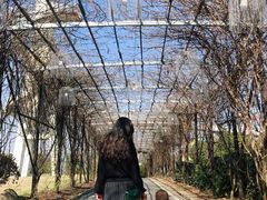 -武汉紫薇都市田园