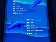 -广州海洋馆