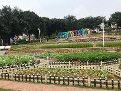 -天河儿童公园