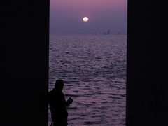 -宝安西湾红树林湿地公园