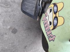 -石家庄市动物园