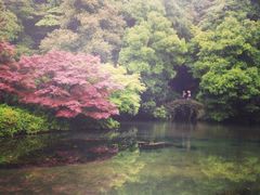 iphone_upload_pic-九溪烟树