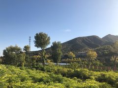 -北京上方山国家森林公园