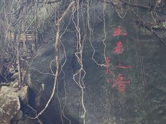 -海南霸王岭国家森林公园