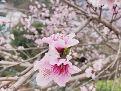 -大罗山风景区
