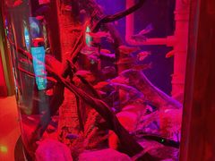 -沈阳海洋探索中心