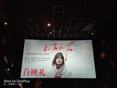 -百美汇影城(LUXE嘉里中心店)