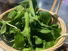 -王奋斗贵州酸汤牛肉火锅