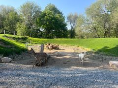 -北京野生动物园