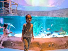 -沈阳海洋探索中心