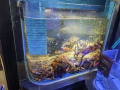 水产区-徐记海鲜(曲江南湖店)