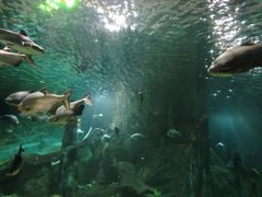 -福州罗源湾海洋世界旅游区