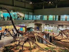 -自贡恐龙博物馆