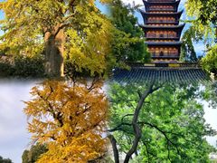 -常熟方塔园